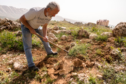 Al-Arz;Iris;Iris-Cedreti;Kaleidos;Kaleidos-images;Lebanon;Middle-East;Near-East;Tarek-Charara;Youssef-Tawk;Flowers;Endemic;Endemic-species;Critically-endangered;Critically-endangered-species